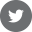 twitter-icon